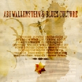 Abi Wallenstein: Blues Culture ONE